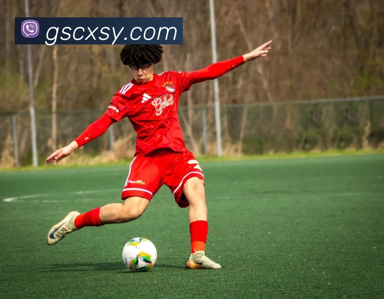开云体育APP下载 App 界面